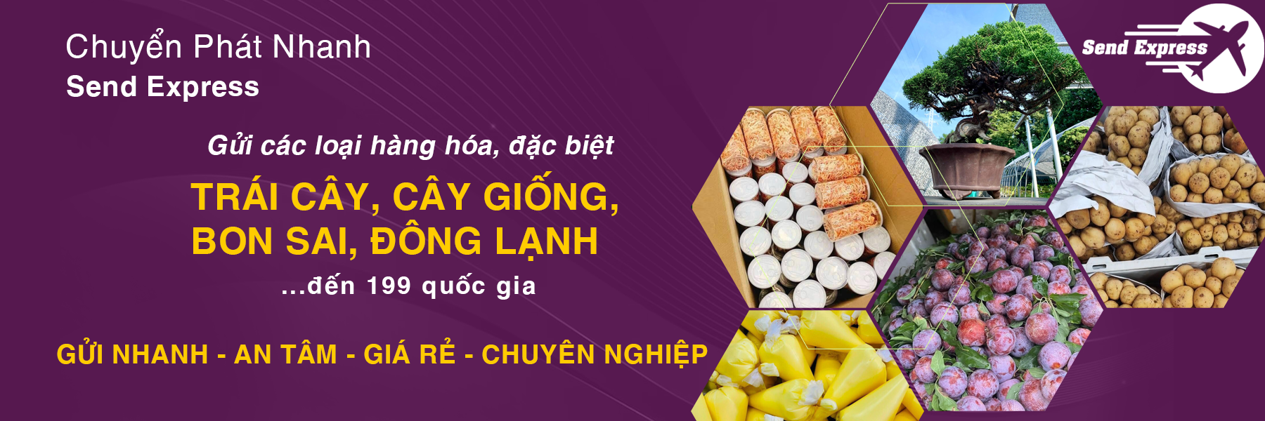 Giới thiệu về Send Express